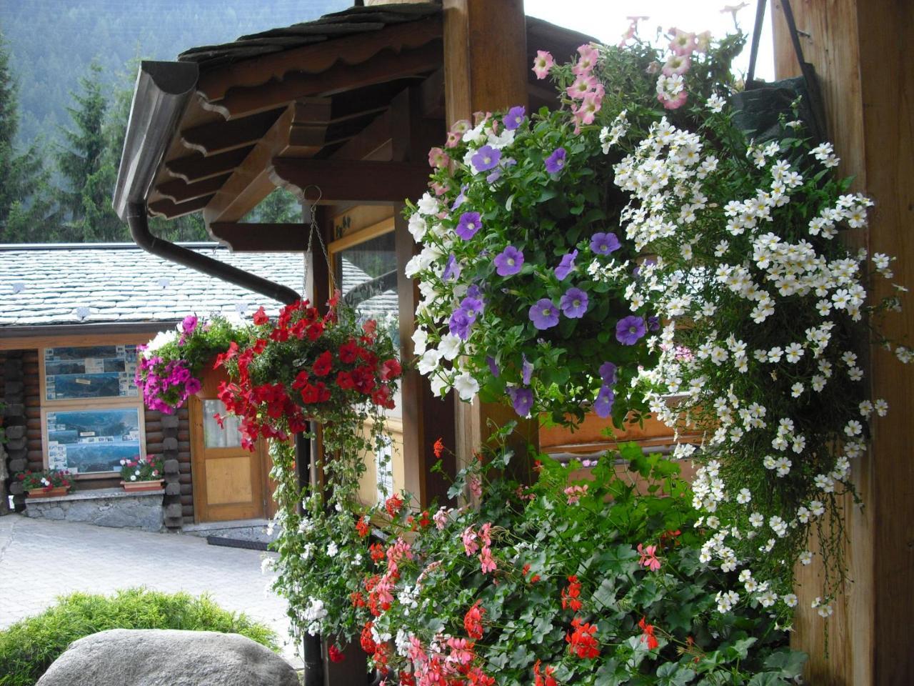 Camping Cimapiazzi Валдисото Екстериор снимка